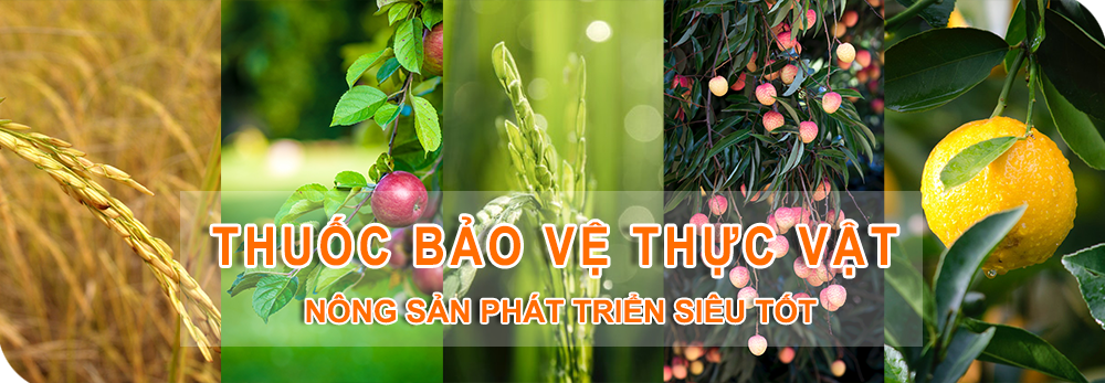 Nông Nghiệp Hợp Nhất