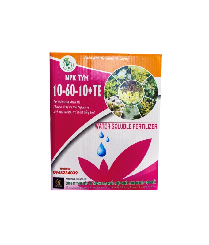 10 60 10 của mỹ