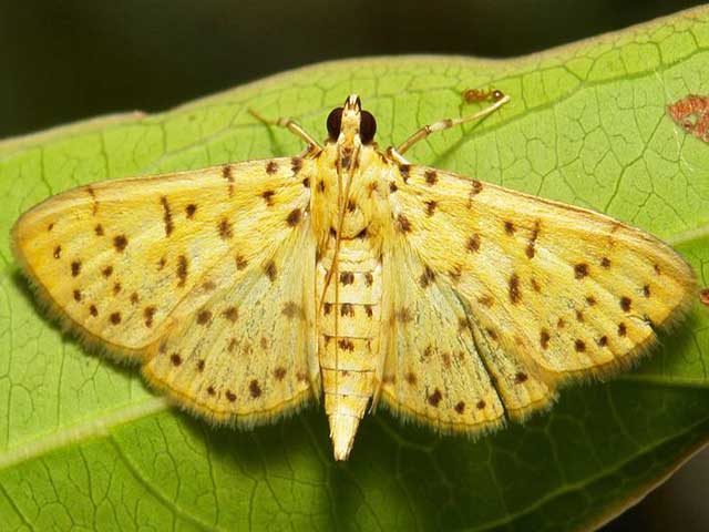 Nông Nghiệp Hợp Nhất