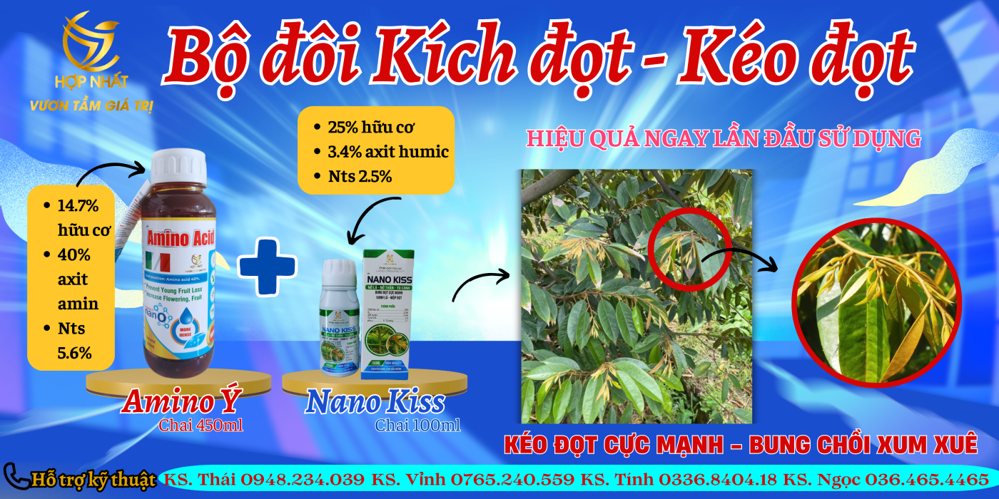 Nông Nghiệp Hợp Nhất