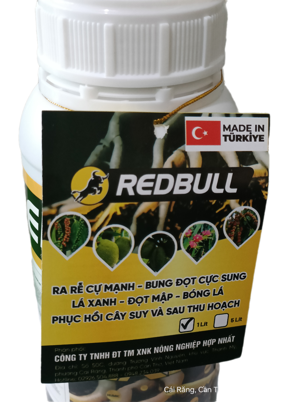 snapedit_1773734806926